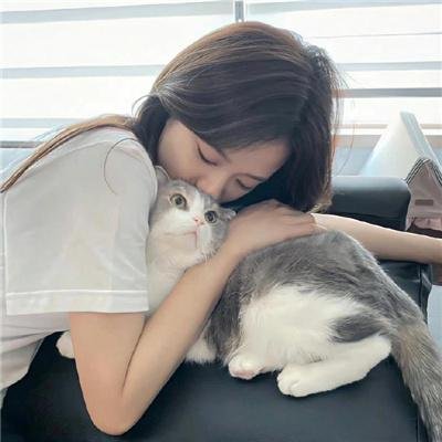 河的研究