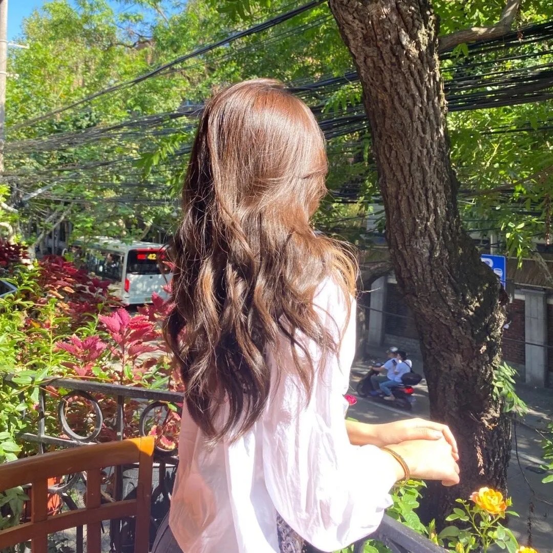 阿里安